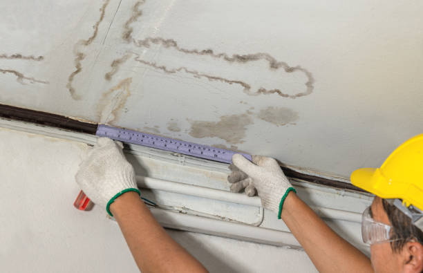Reliable Mold Remediation contractor in Ayr, ND by Water Damage Irwin